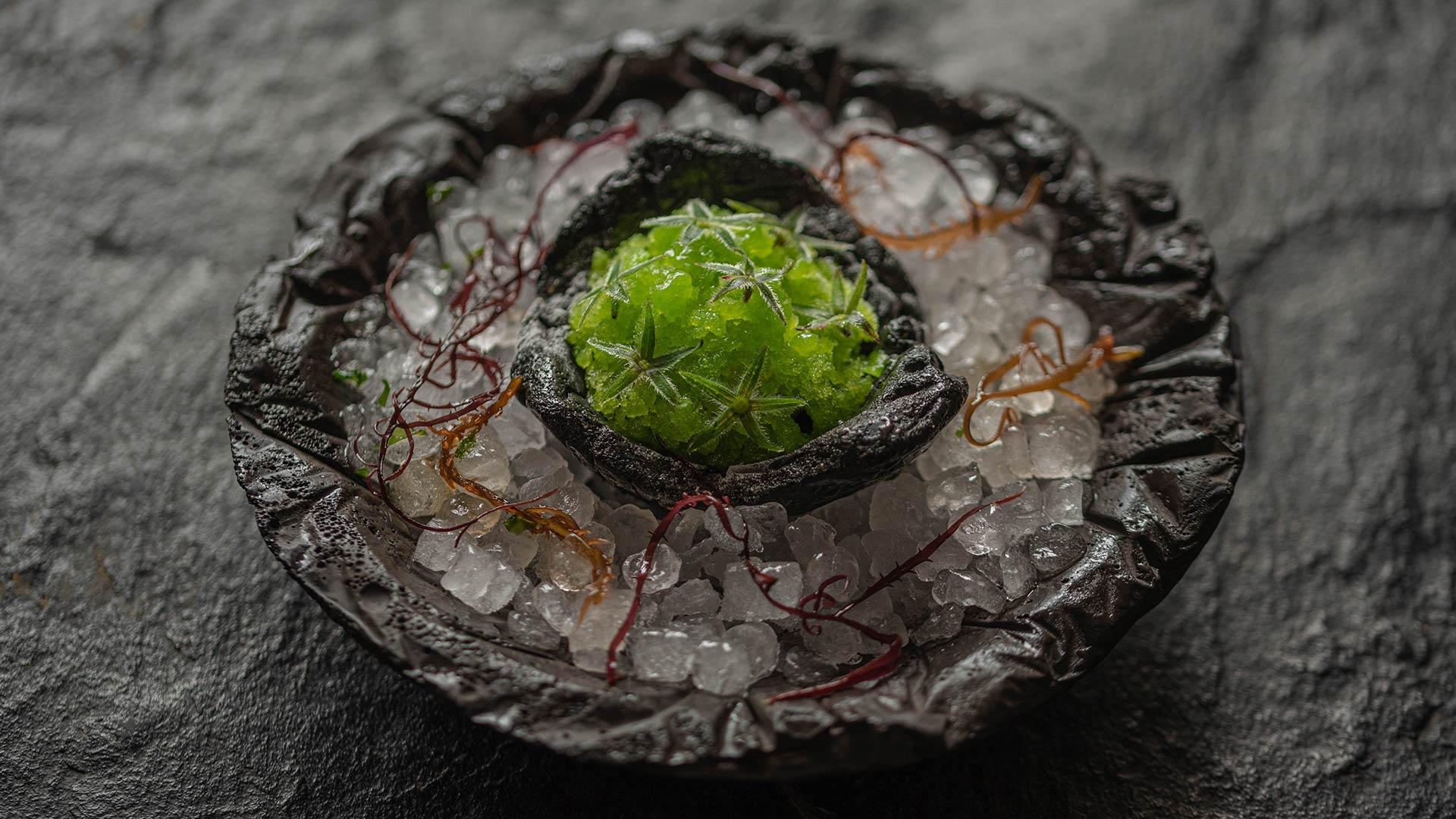 Cactus Marino