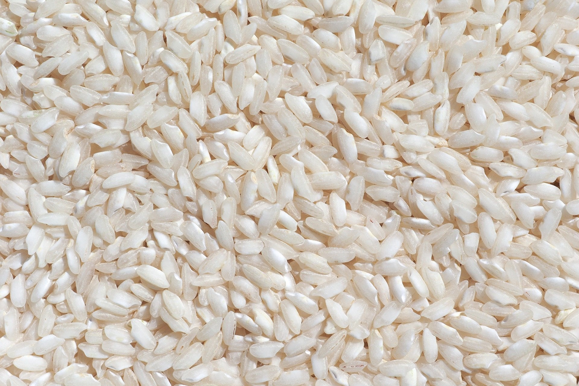 Arroz Carnaroli