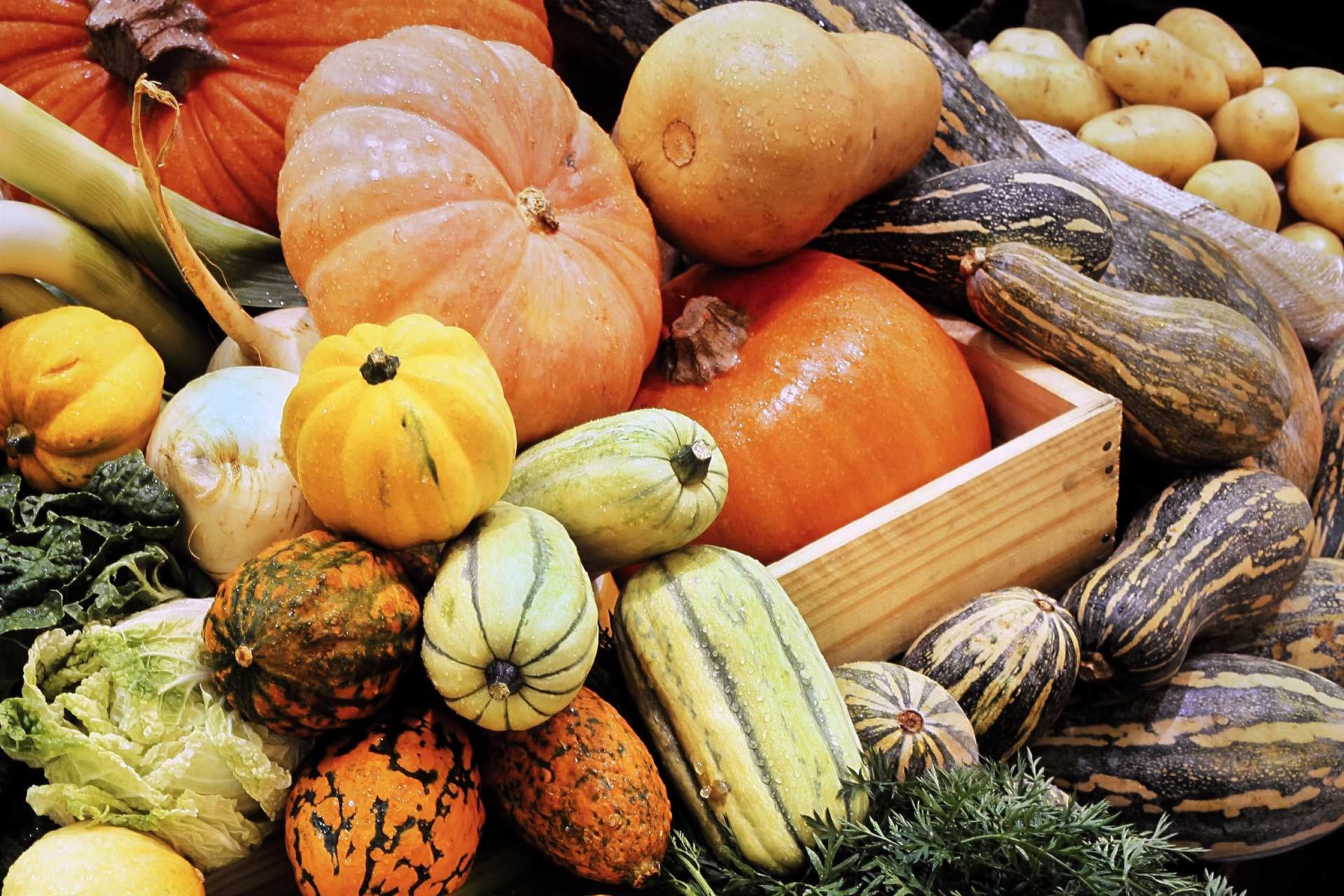 calabaza-variedades