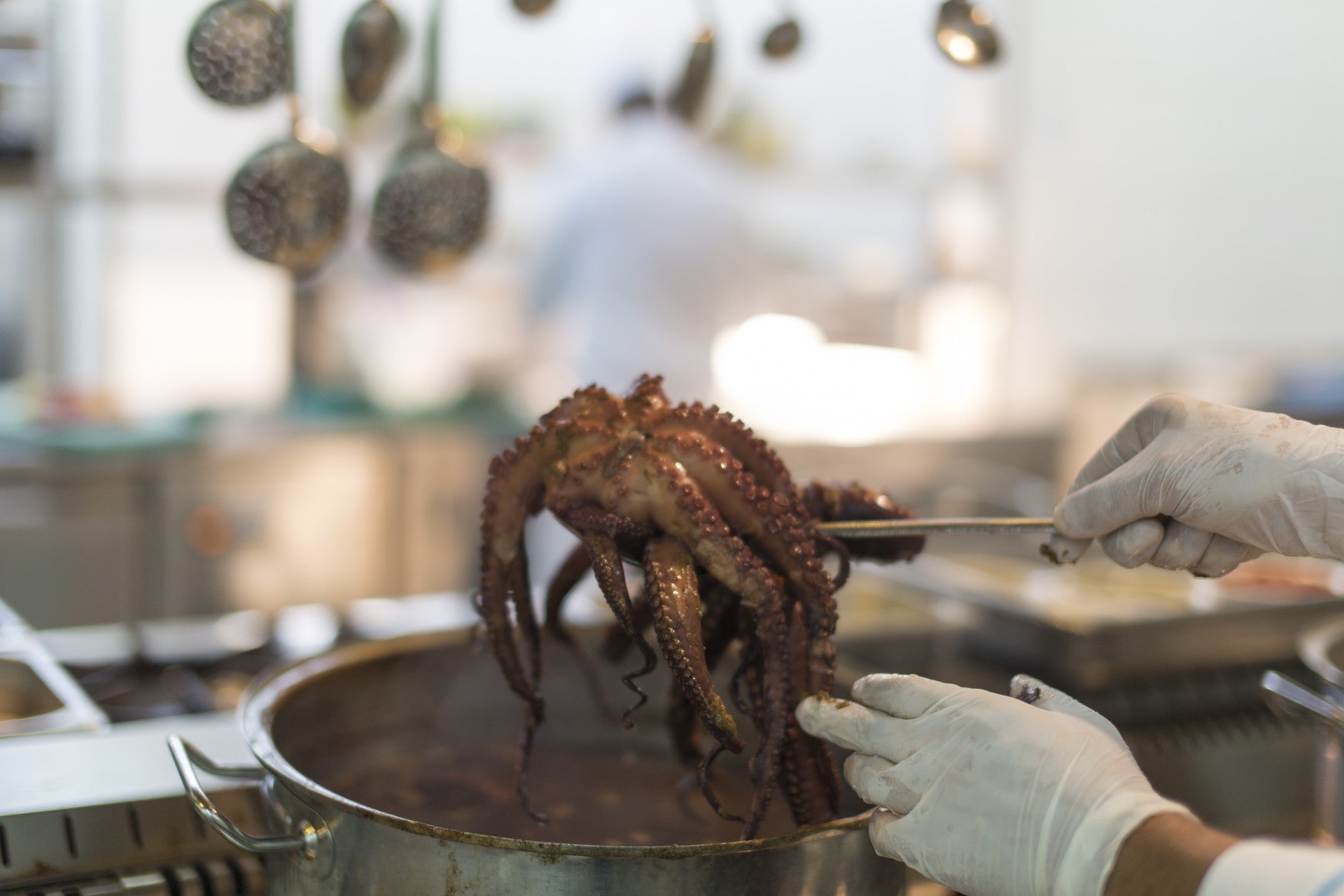 cocción-pulpo-en-olla-rapida