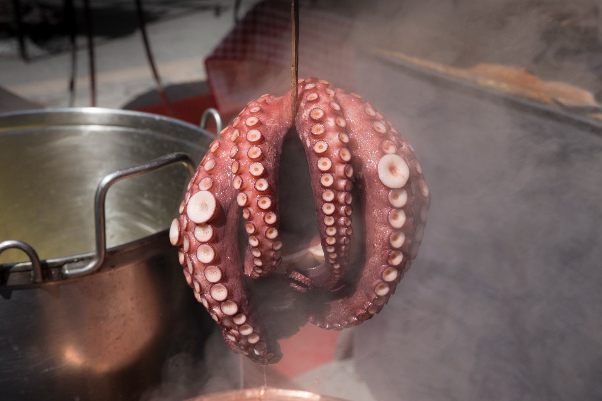 cocción-pulpo-para-que-te-quede-tiemo