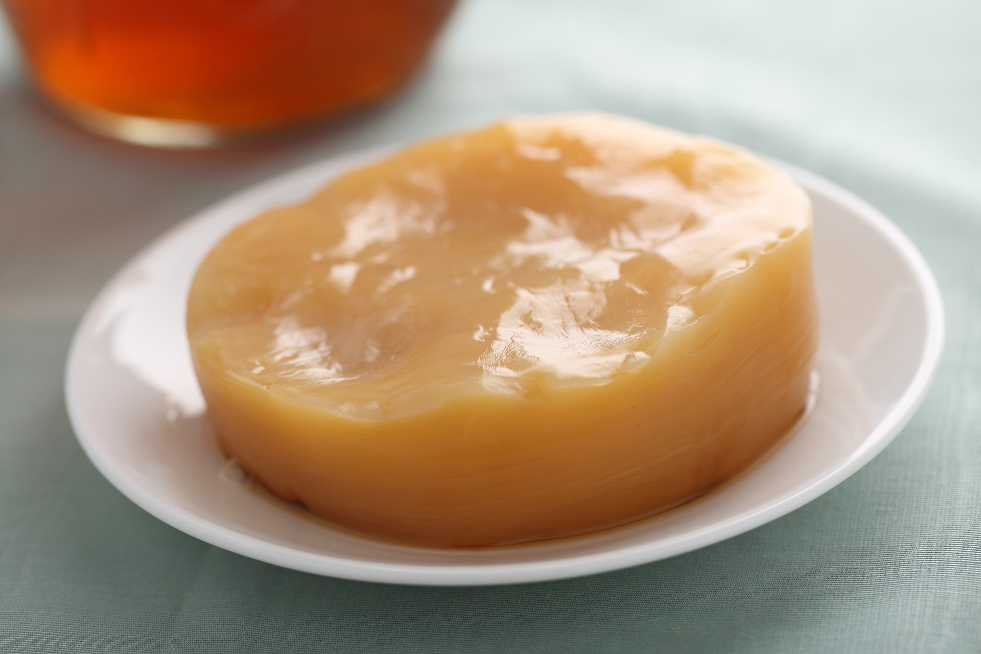 kombucha-scoby
