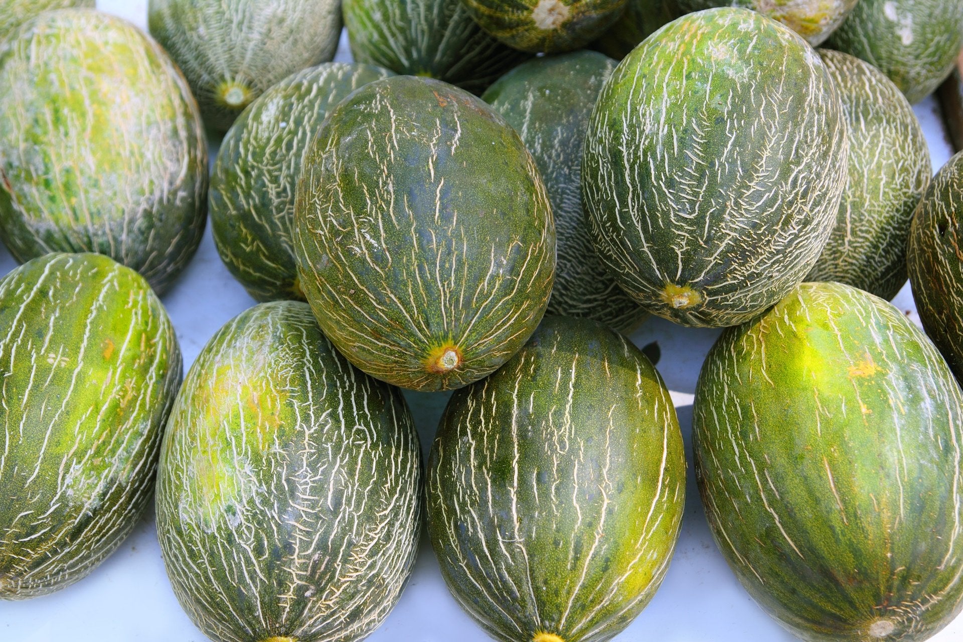Melón piel de sapo
