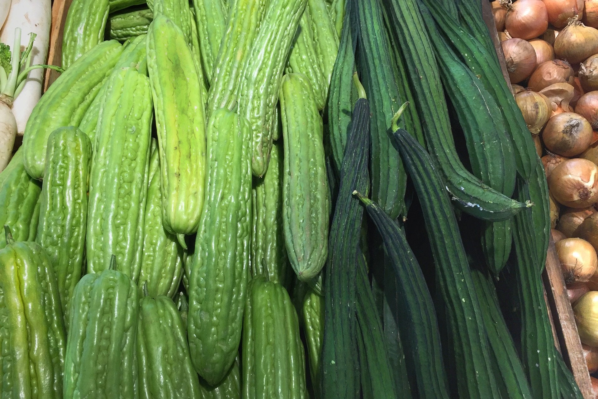 Melón serpiente