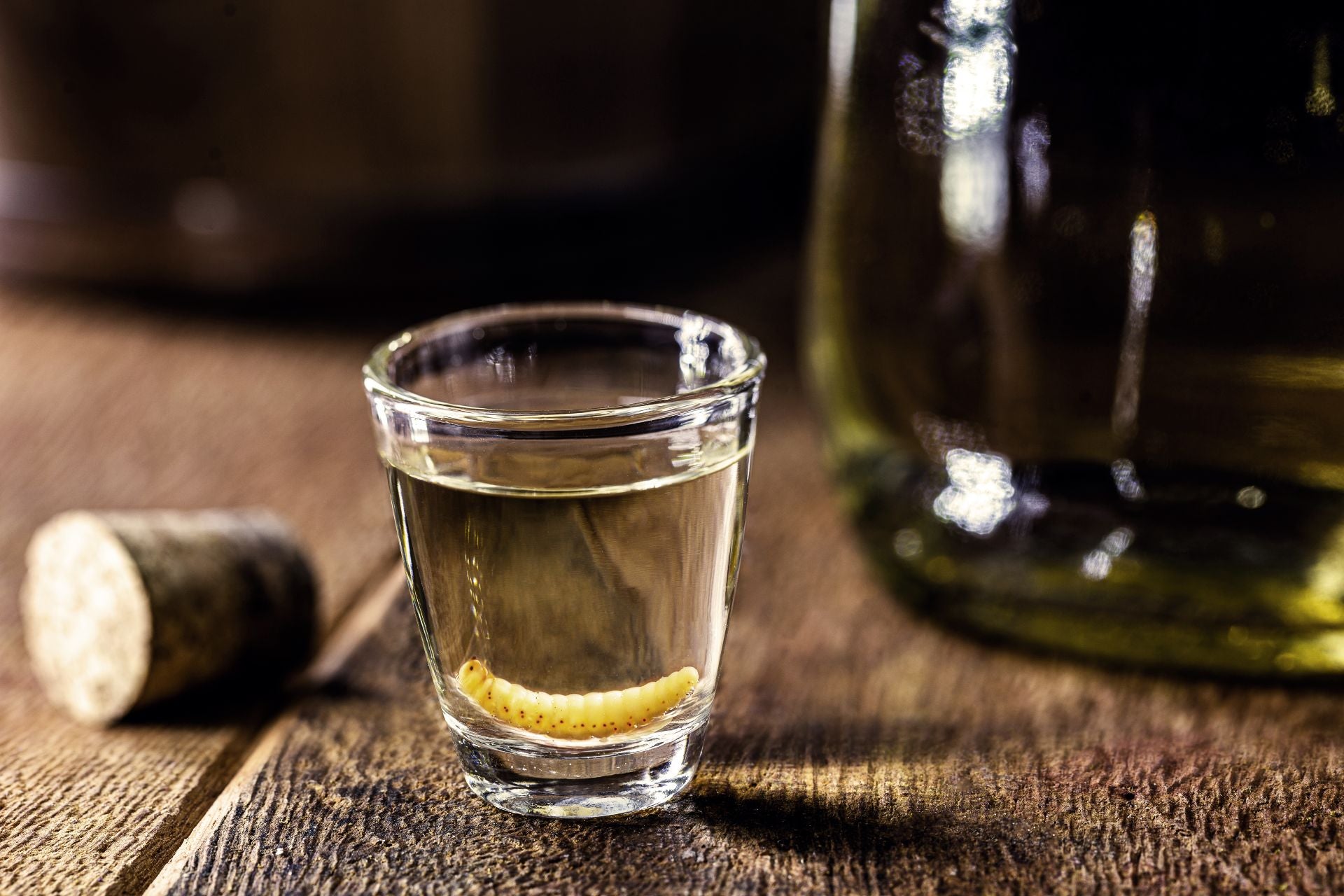 mezcal-categorias