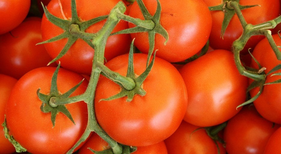 Tomate