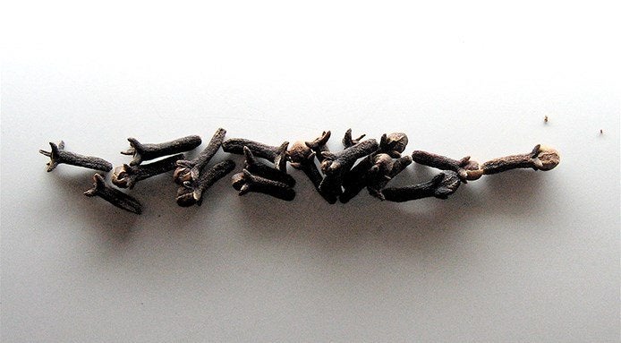 Clavos de olor