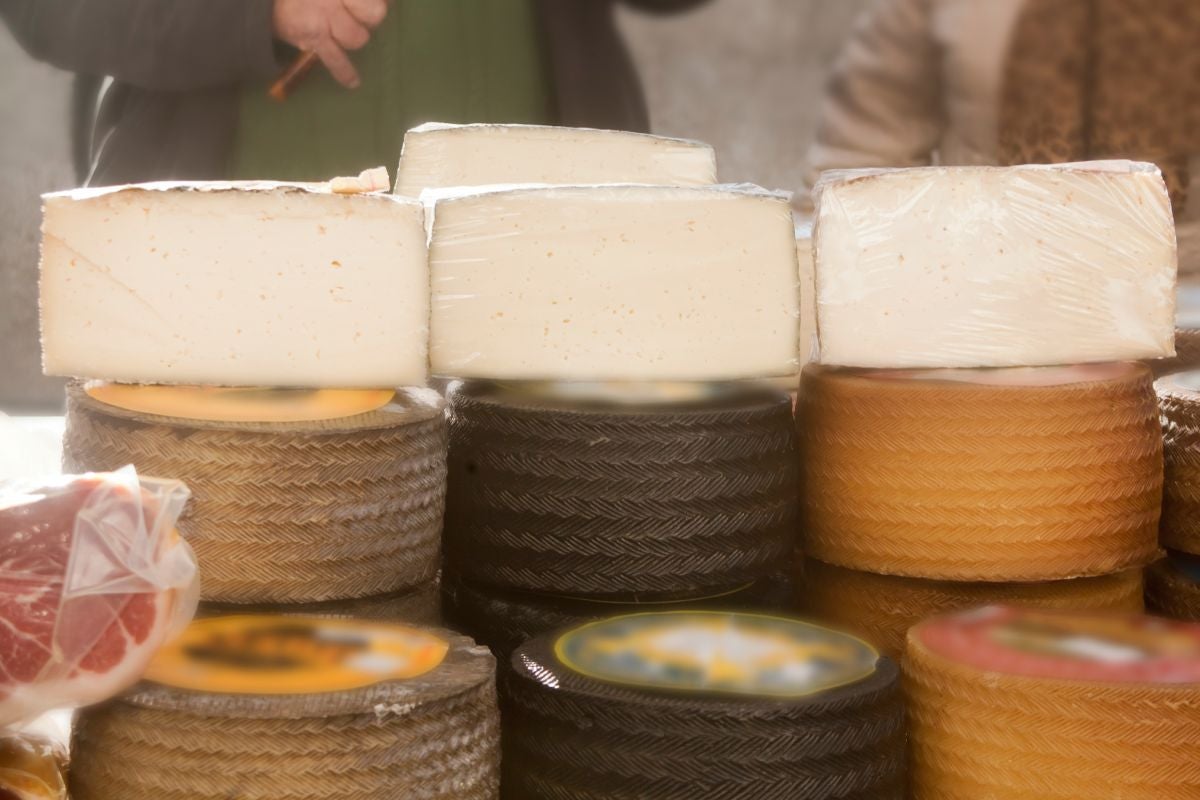 queso manchego variedades