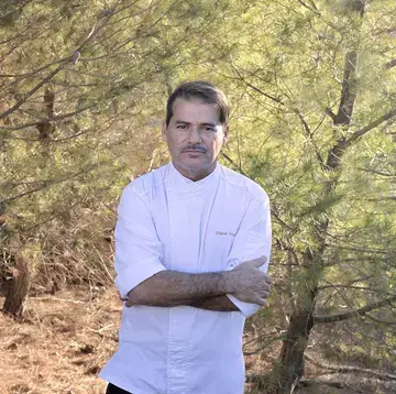 Mike Palmer chef