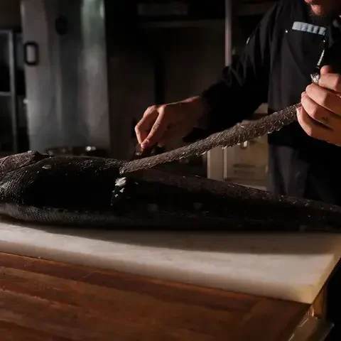 How to Fishology