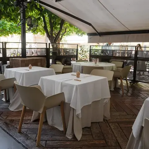 Beluga - Mediterranean Restaurant Beluga - Mediterranean Restaurant