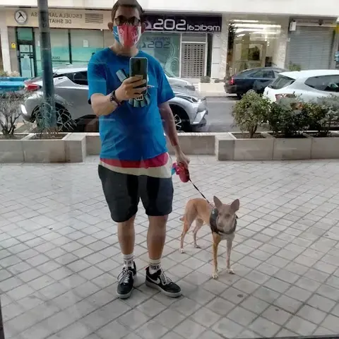 C. Sos del Rey Católico, 7