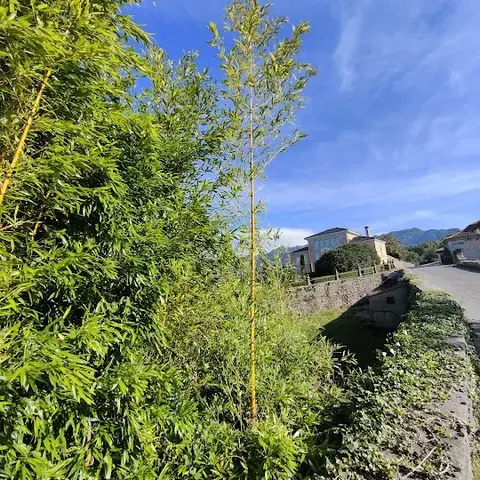 La Huertona La Huertona