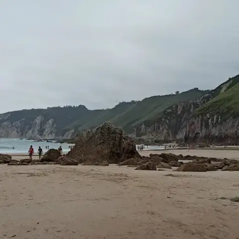Playa de Vega, 84 Playa de Vega, 84