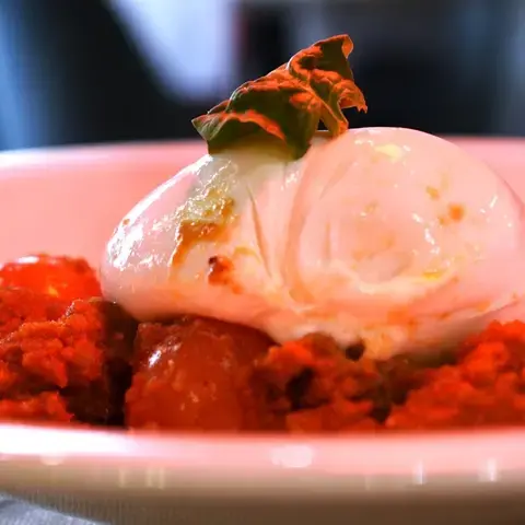 VIVO Gourmet VIVO Gourmet