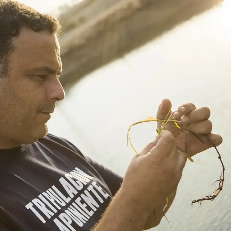 Angel Leon Aponiente arroz marino