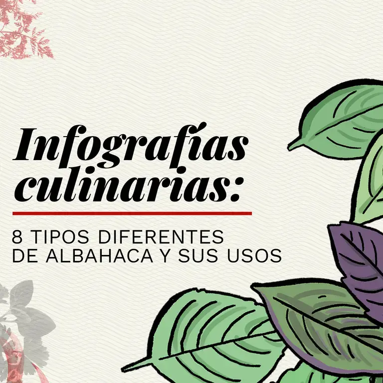 variedades de albahaca