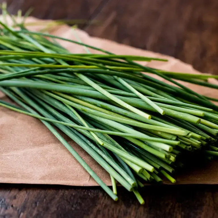 Allium schoenoprasum  - Fine Dining Lovers