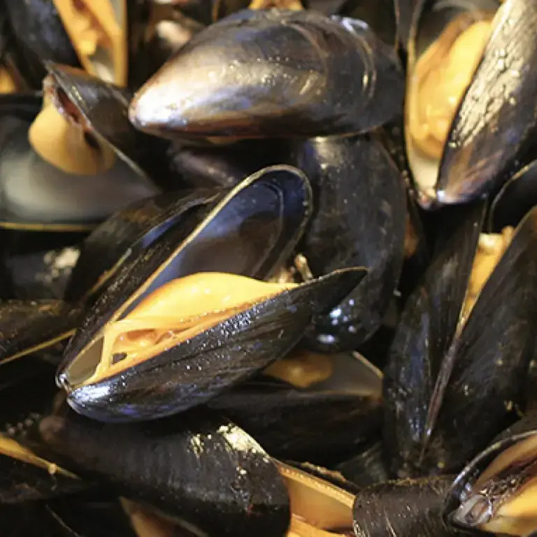 Mejillones
