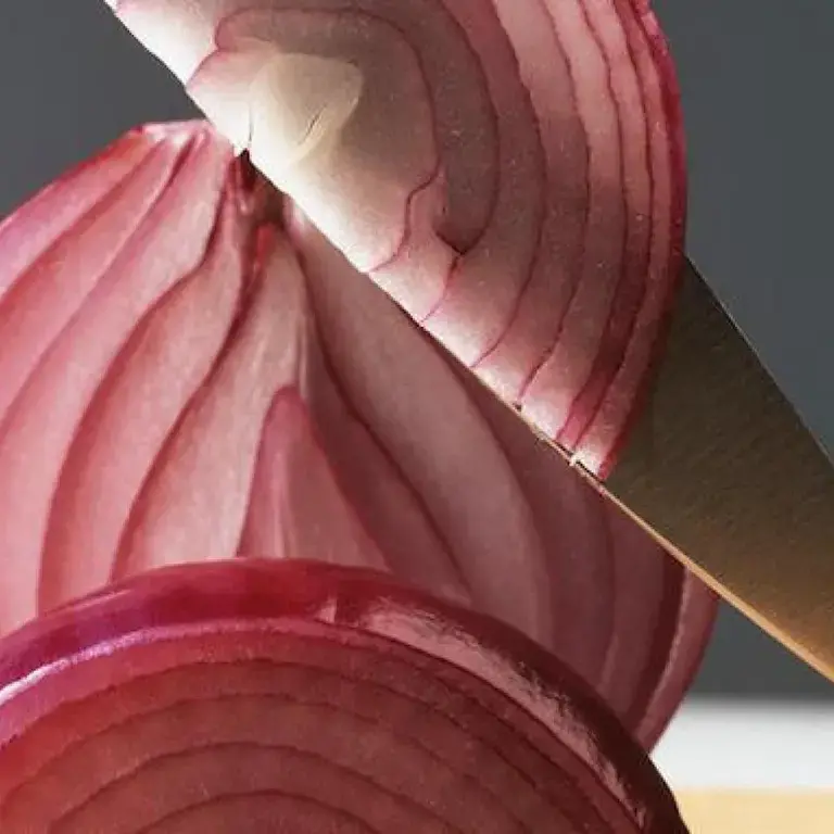 Cebolla