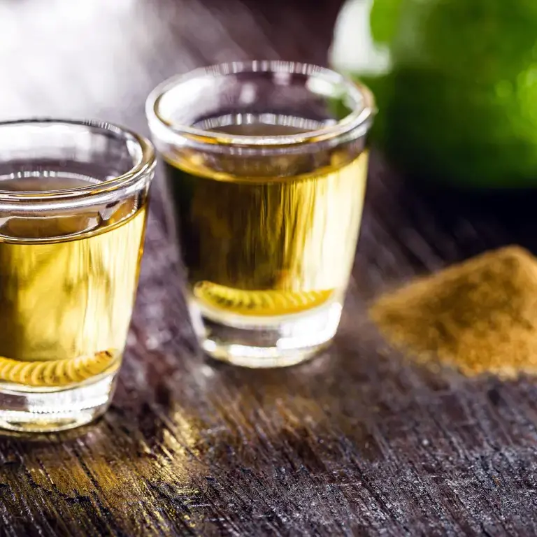 mezcal