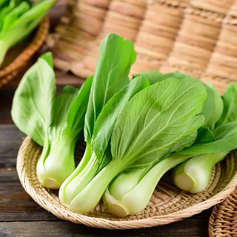 pak-choy