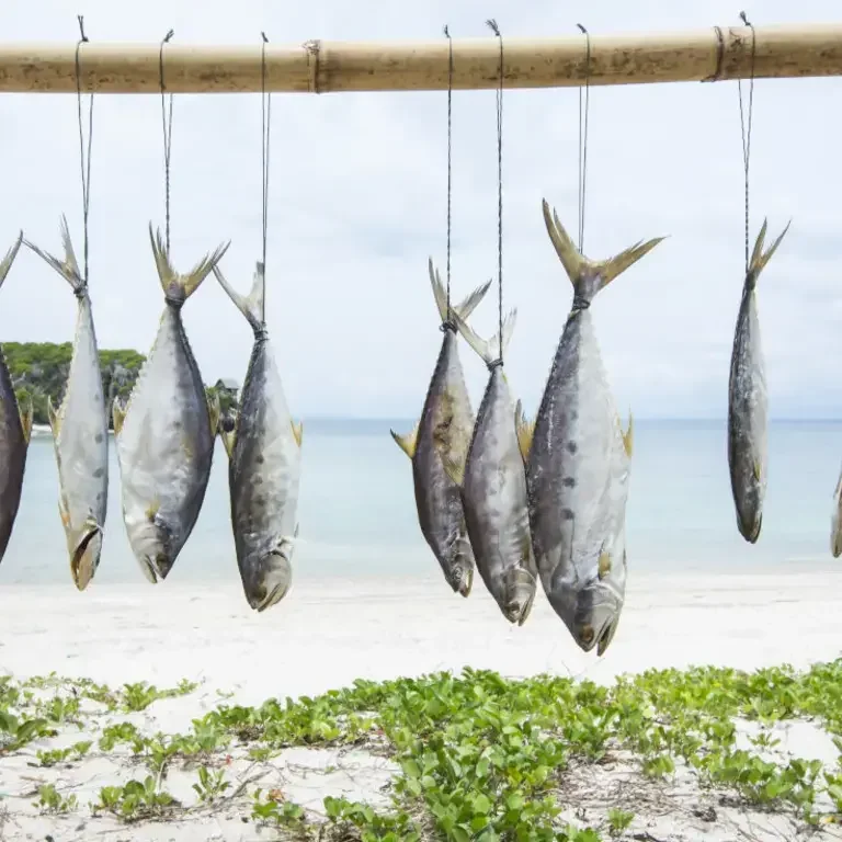 Diferentes tipos de pescado blanco y cómo cocinarlos