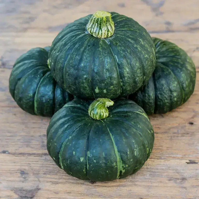 Calabaza japonesa - Fine Dining Lovers