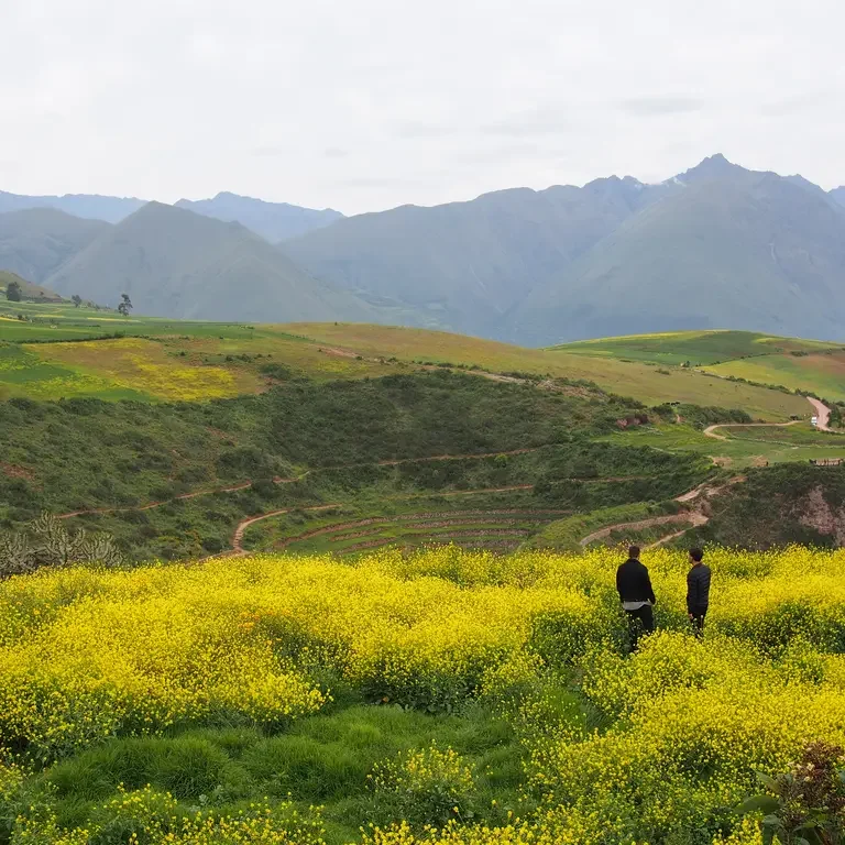 Afuera hay más fotorreportaje