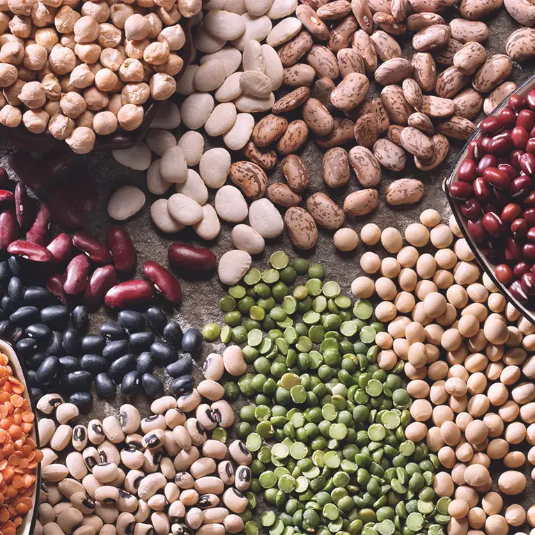 Variedades_y_tipos_de_alubias