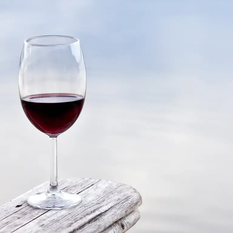 copas-de-vino-syrah
