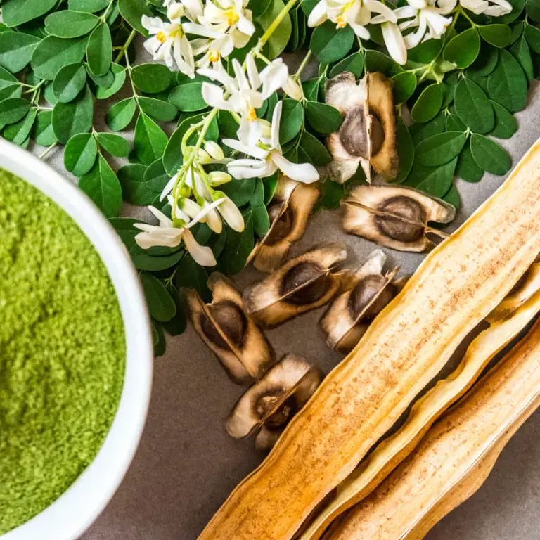 Propiedades de la moringa - Fine Dining Lovers