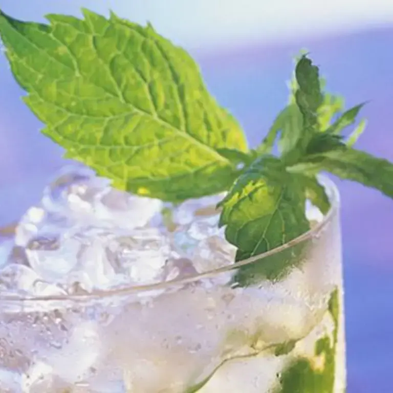 Mojito cubano