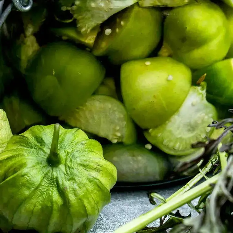 Conservación de alimentos