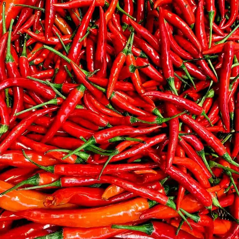 Mitos de la alimentación