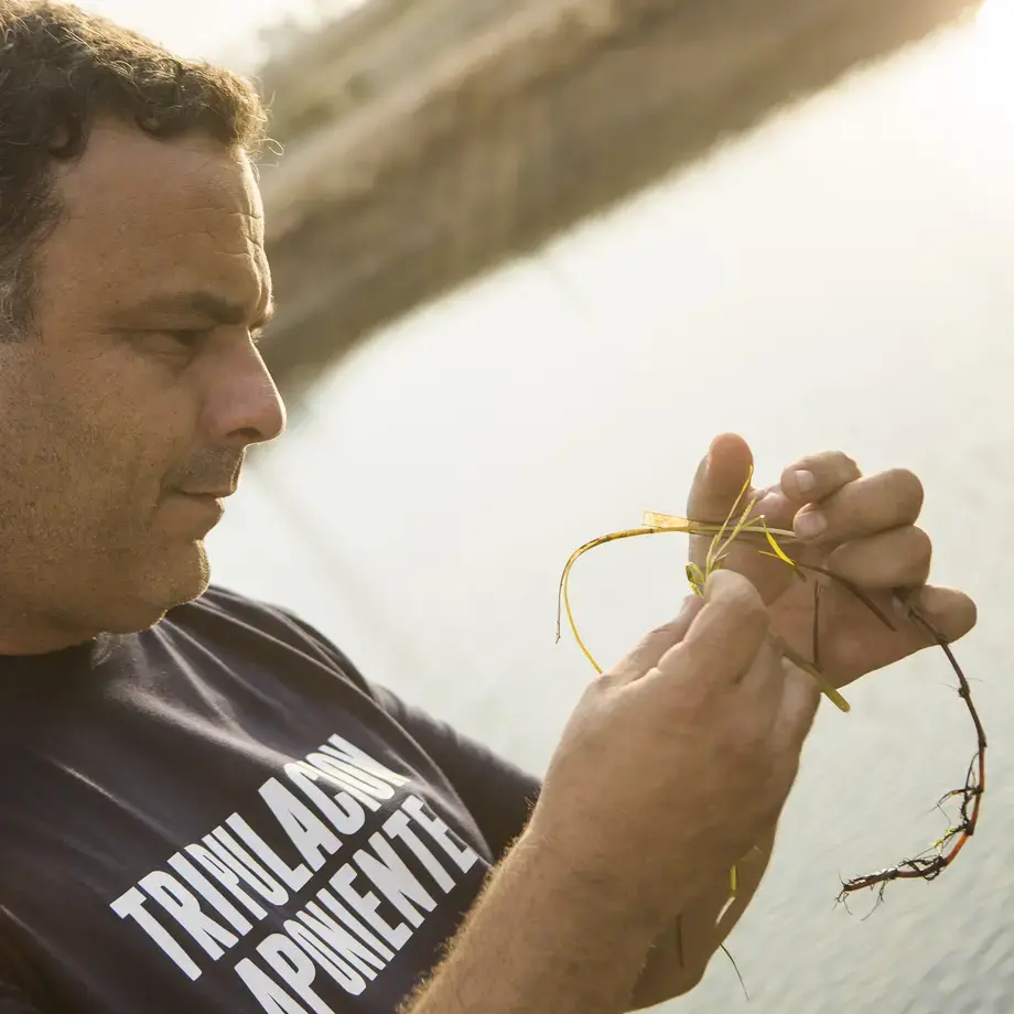 Angel Leon Aponiente arroz marino