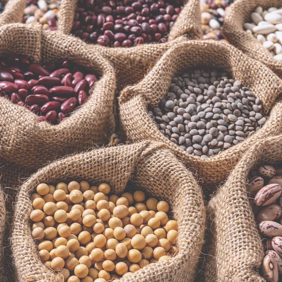Tipos de alubias