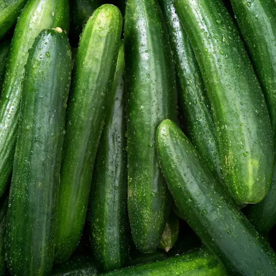 Las variedades de pepino más comunes y cómo comerlas