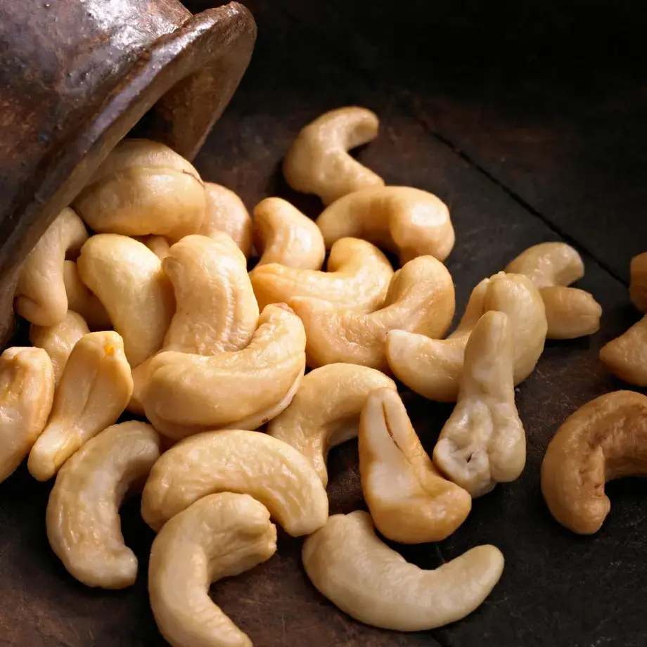 anacardo