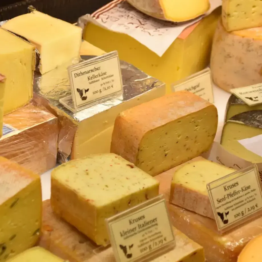 Los distintos tipos de queso y sus usos