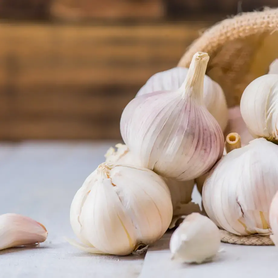 cómo-conservar-ajos