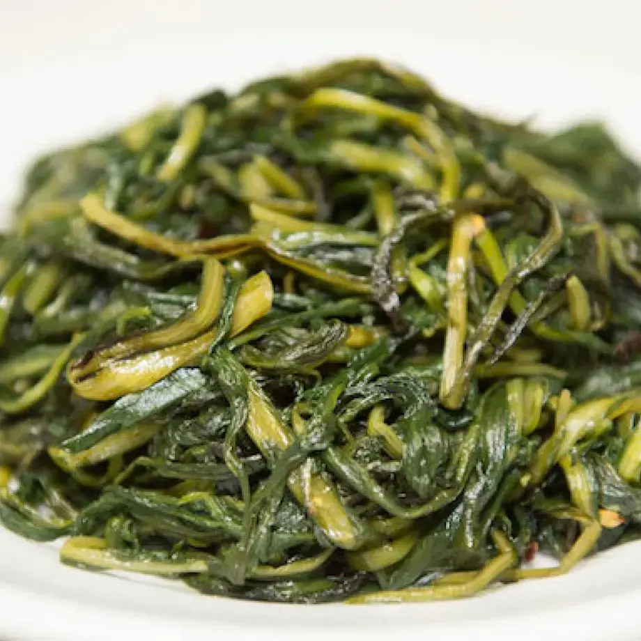 Achicoria