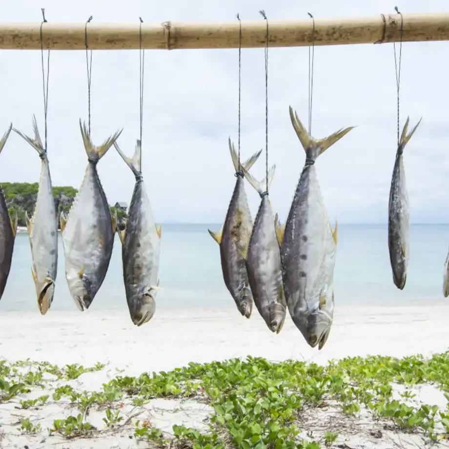 Diferentes tipos de pescado blanco y cómo cocinarlos