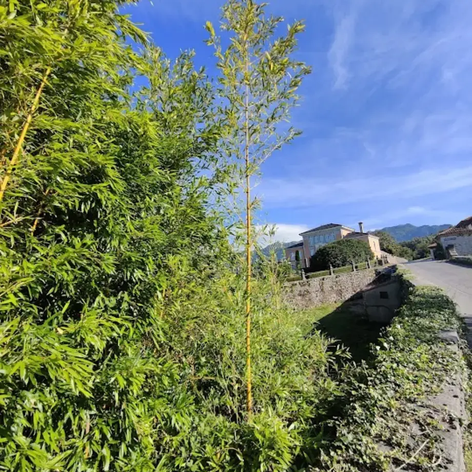 La Huertona La Huertona