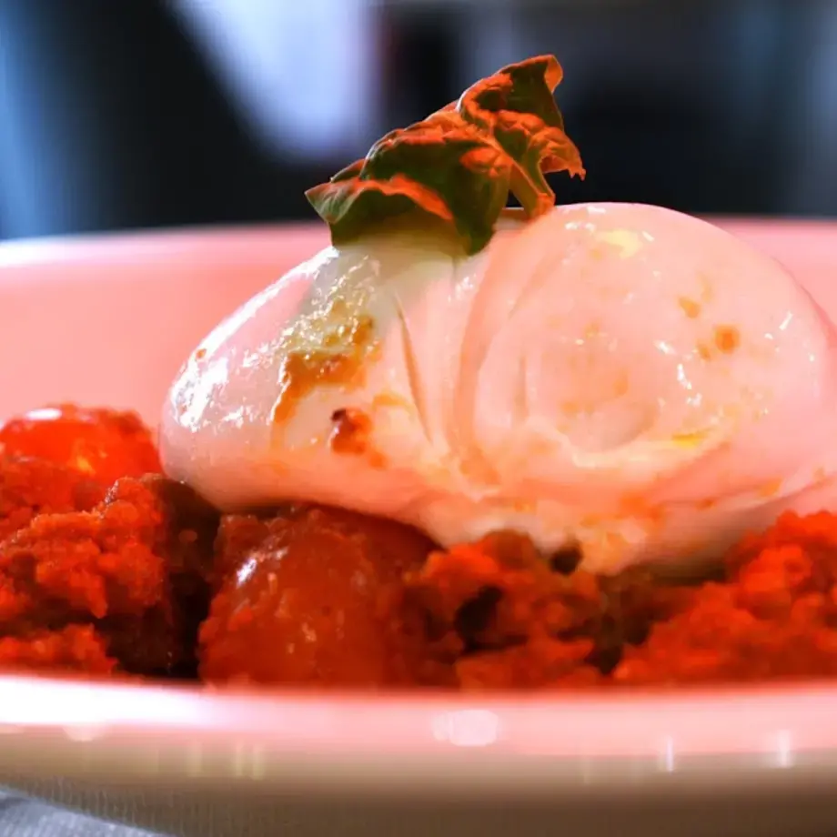 VIVO Gourmet VIVO Gourmet