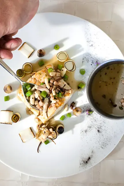 Técnicas de emplatado