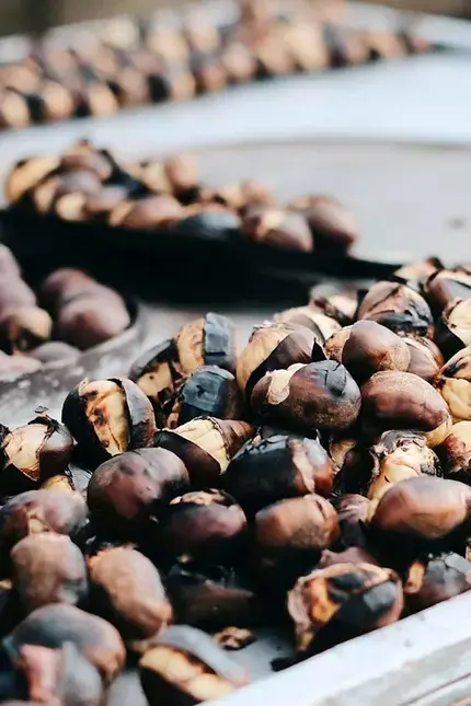 Datos sobre los alimentos