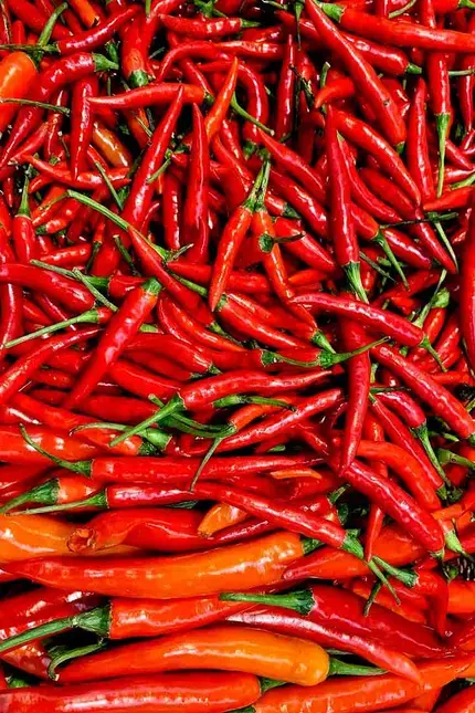 Mitos de la alimentación