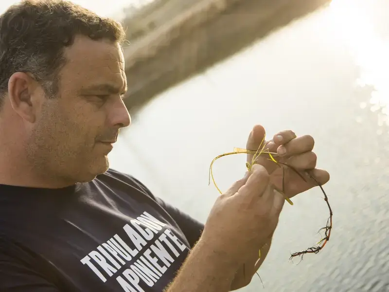Angel Leon Aponiente arroz marino