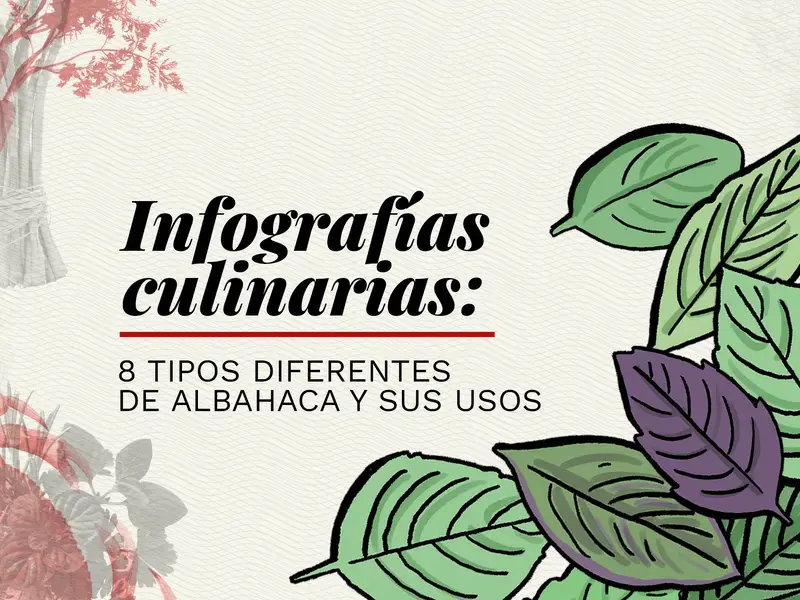 variedades de albahaca